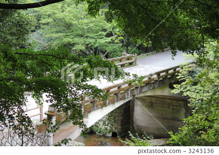 足利宇和開國家公園Nameko峽谷 3243136