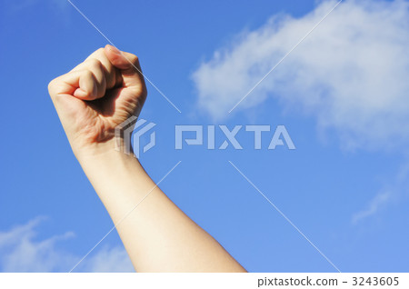 will, powerful, guts 3243605