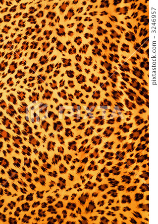 Leopard print Leopard print 3246957