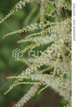 The end of the summer 3247920