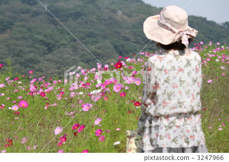 婦女和宇宙領域 婦女和宇宙領域 3247966