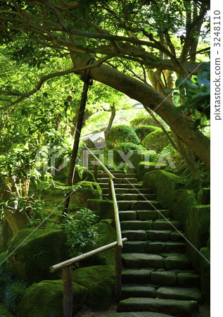 Hokokuji Temple　 3248110