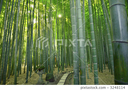 Bamboo temple 3248114
