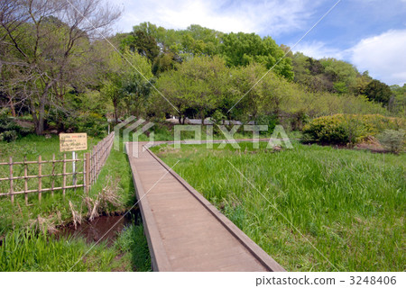 Mitaka Osawa no Sato 3248406