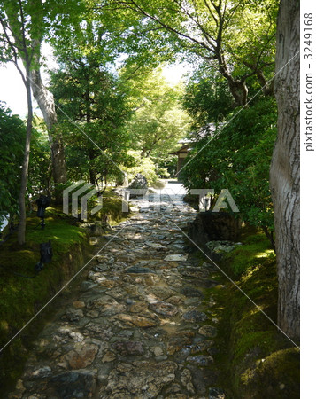 高台寺花園 3249168