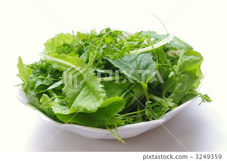 Reef salad Reef salad 3249359