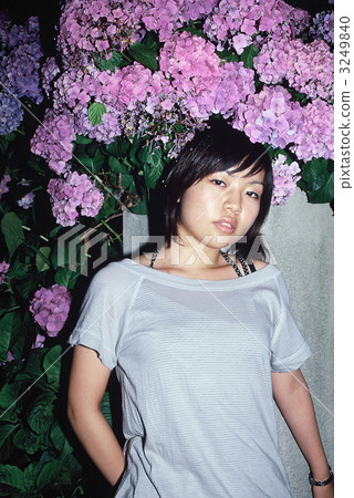 Hydrangea at night and women in her teens 3249840