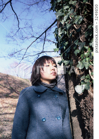 少年女孩和大樹 3249850