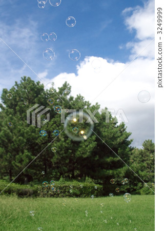 fine, field, soap bubbles 3249999