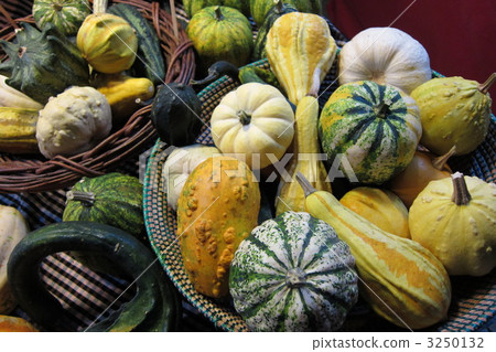 Various pumpkins 3250132