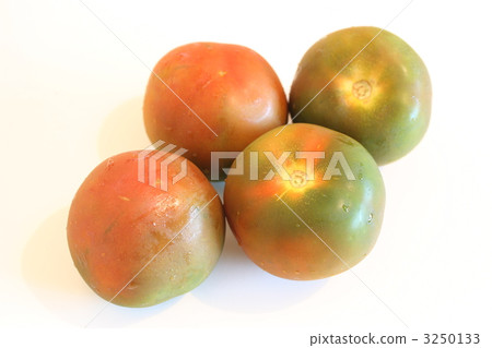 food, foods, foodstuff 3250133