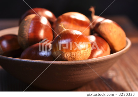 Tamba Chestnut 3250323