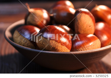 丹波板栗 3250325