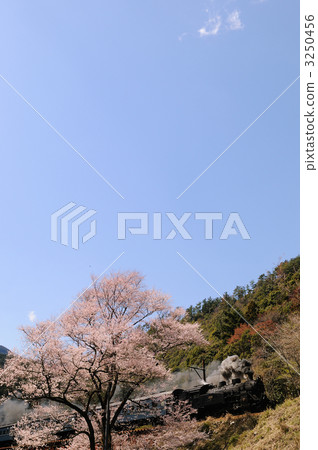 Higanbakura and SL 3250456