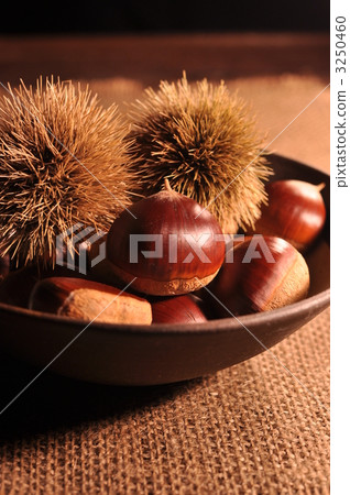 Chestnut fruit and a goblin 3250460