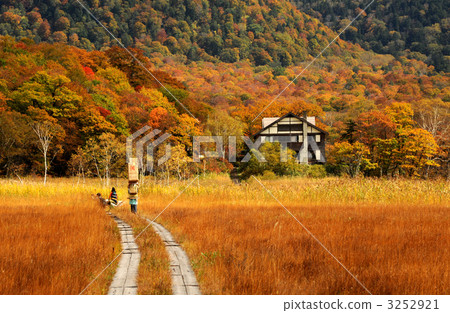 Autumn's Ozegahara TEPCO hut 3252921