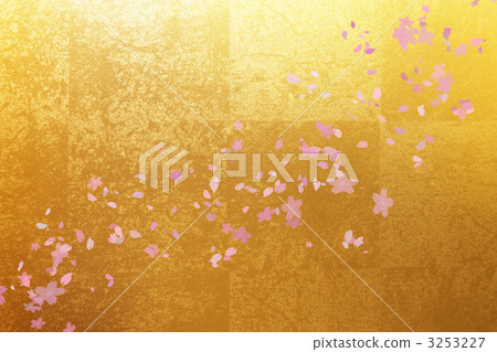 Gold folding screen and cherry blossoms 3253227