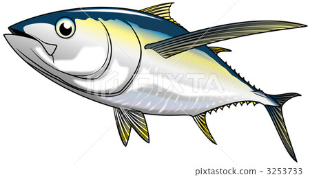 yellowfin tuna, fish, saltwater fish 3253733