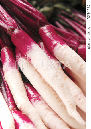 turnip day vegetables, turnip, radish 3254582