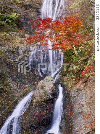 Autumn leaves of the waterfall 3255138