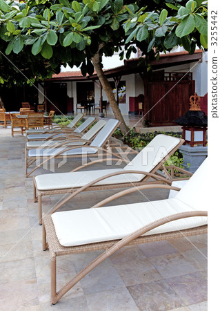 Resort hotel deck chair 3255442