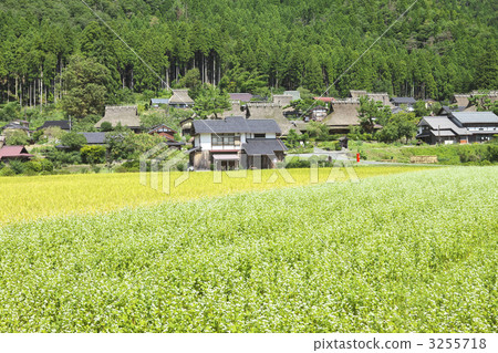 京都Miyama Kaori no Sato 京都Miyama Kaori no Sato 3255718