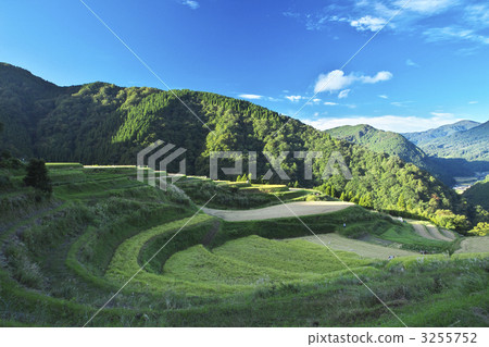 Rice terrace of Hyogo Nishigaoka 3255752