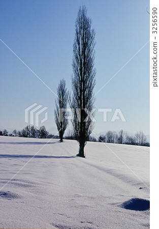 frozen field, snow scene, fairy tale 3256590