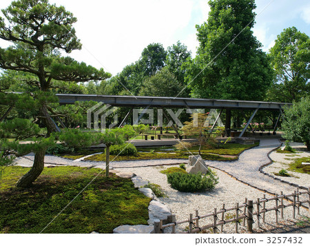 Totally flower corridor / garden Totally flower corridor / garden 3257432