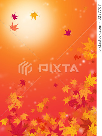 Portrait / Horizontally shared, autumn leaves image 3257707
