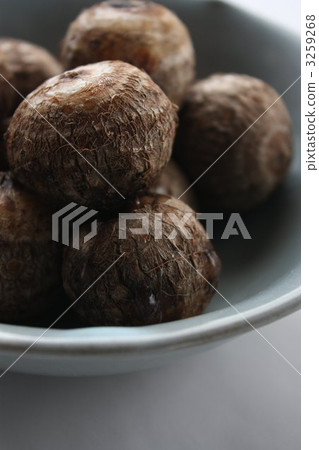 A torch A torch 3259268