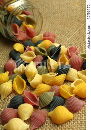 貝殼 貝殼 3259672