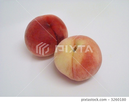 桃子 桃子 3260180