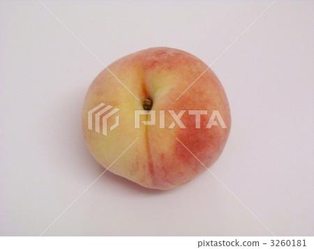 桃子 桃子 3260181