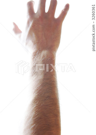 Male arms hair Male arms hair 3260361