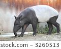 Malebak 3260513