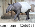Malebak 3260514