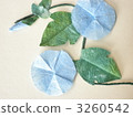  早晨的太陽 3260542