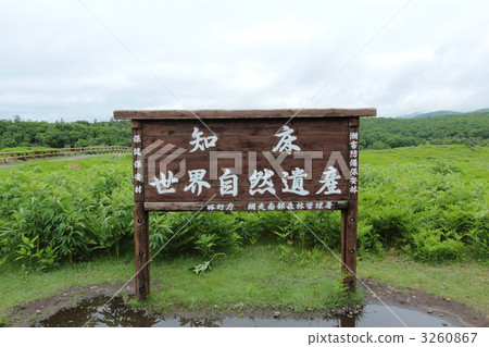 Shiretoko World Natural Heritage 3260867