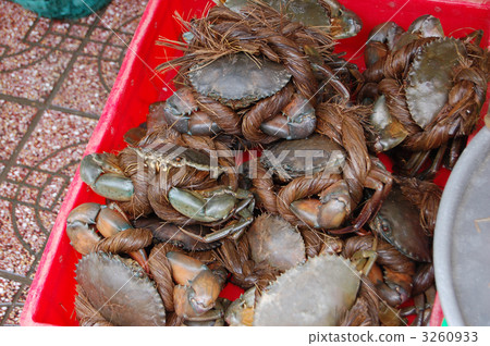 Vietnamese ingredients Vietnamese ingredients 3260933