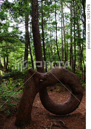 螺紋螺釘 螺紋螺釘 3261476