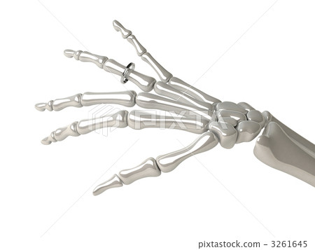 Rings and bones and bridal Rings and bones and bridal 3261645