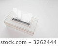Tissue 3262444