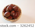 Chestnut  3262452