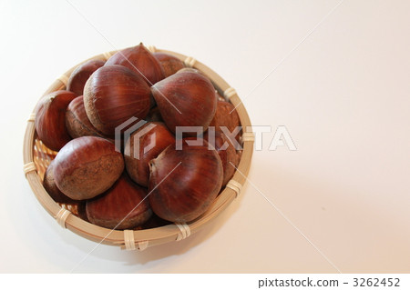 Chestnut  3262452