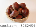 Chestnut  3262454