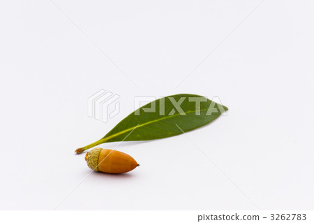 Acorn Acorn 3262783