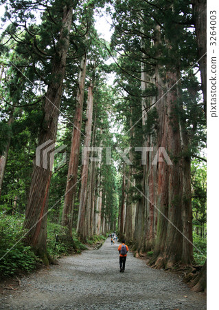 Togakushi神社Okusha·Kuzuryoro公司崇拜道路 3264003