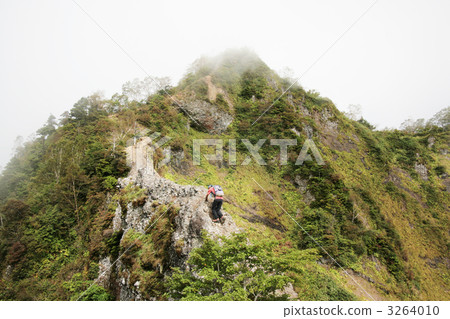 Crossing of ant tombs Crossing of ant tombs 3264010