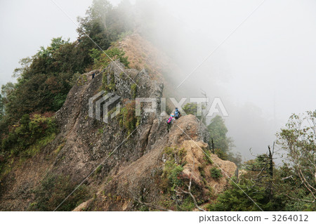 螞蟻墳塋的橫穿 螞蟻墳塋的橫穿 3264012